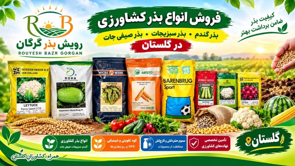 فروش انواع بذر کشاورزی در گرگان و گلستان